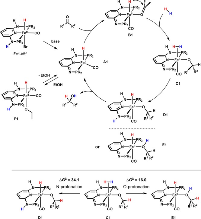 Scheme 6