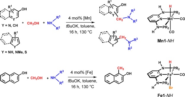 Scheme 18