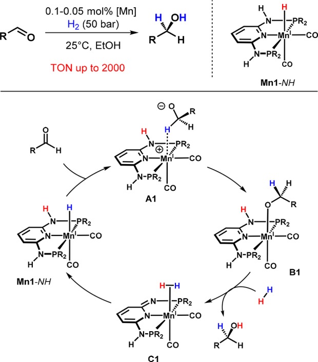 Scheme 10