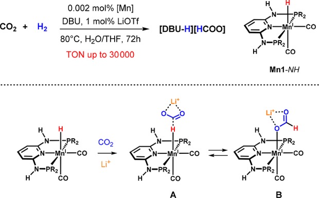 Scheme 13