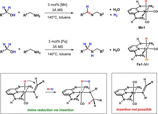 Scheme 16