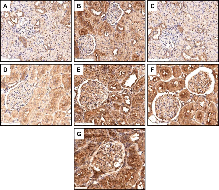 Fig. 8.