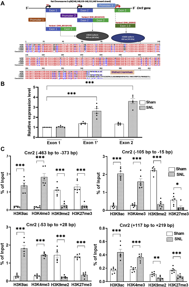 Figure 5