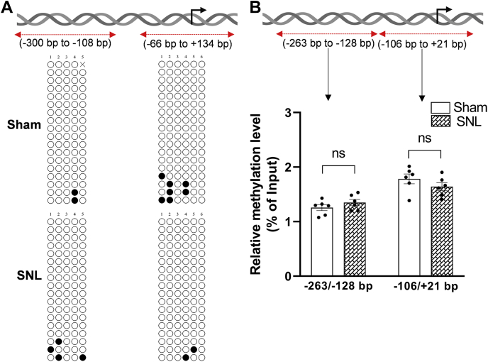 Figure 6