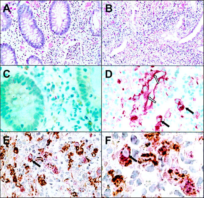 Figure 6  