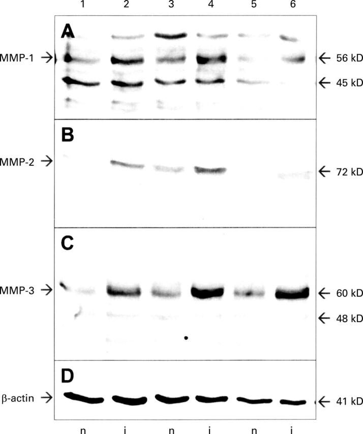 Figure 3  