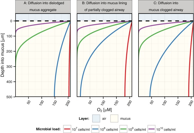 FIG 6 