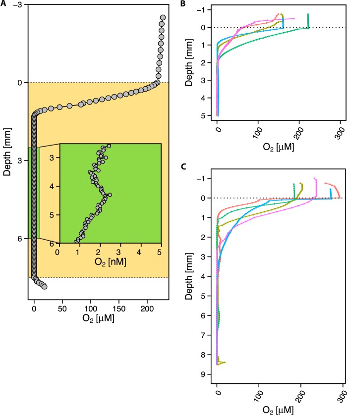 FIG 2 