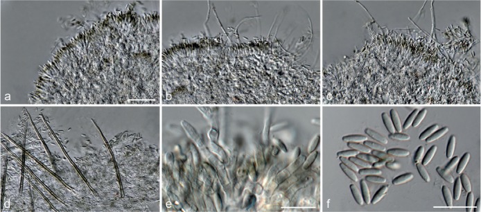 Fig. 15