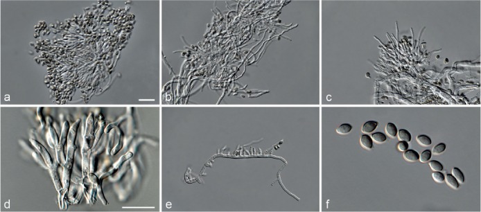 Fig. 11