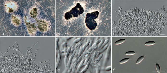 Fig. 13