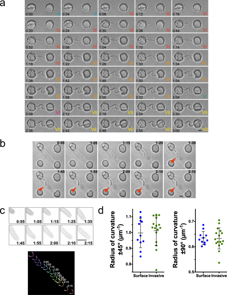 Fig. 3