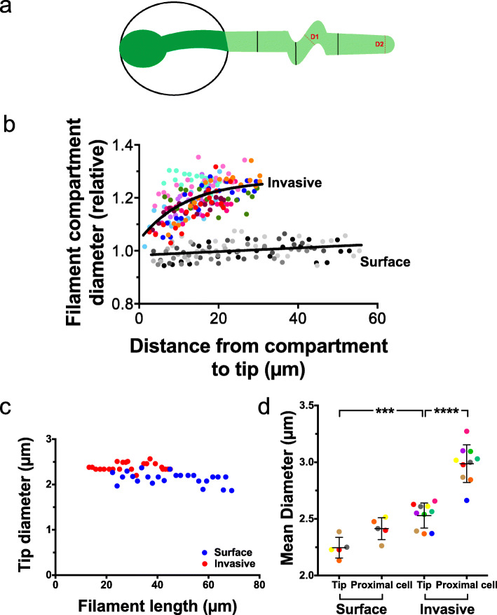 Fig. 12