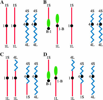 Figure 1.—