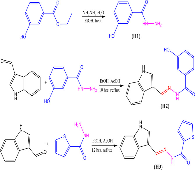 Fig. 1