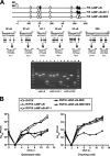 FIG. 7.