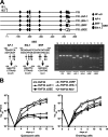 FIG. 5.