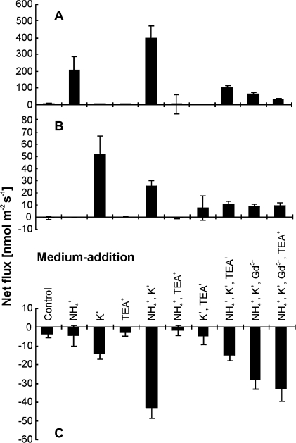 Fig. 7.