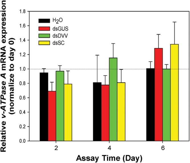 FIGURE 4