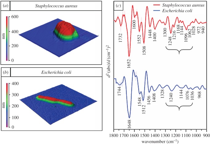 Figure 2.