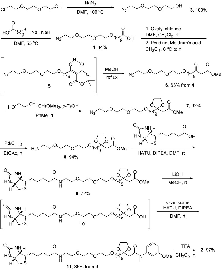 Scheme 1