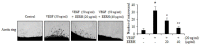 Figure 9.