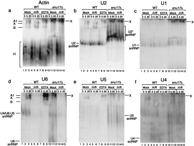 FIG. 6