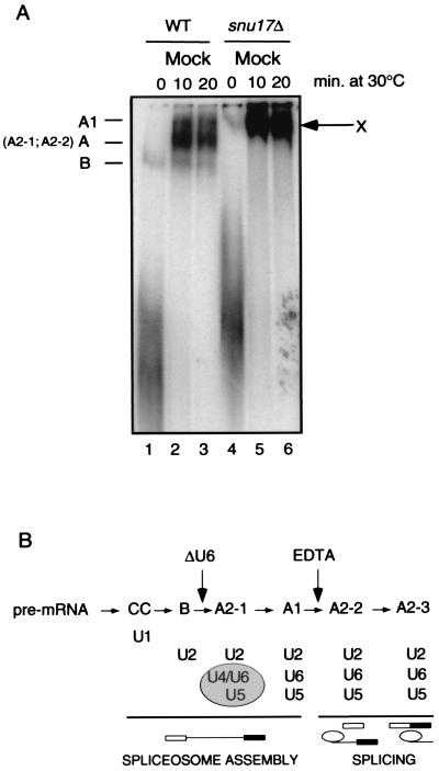 FIG. 5