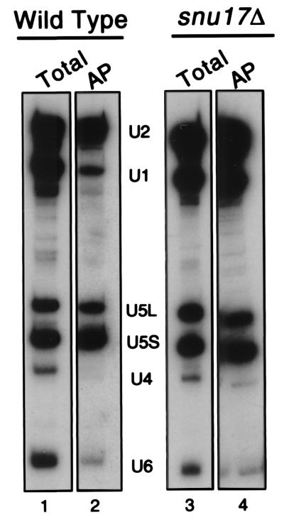 FIG. 7