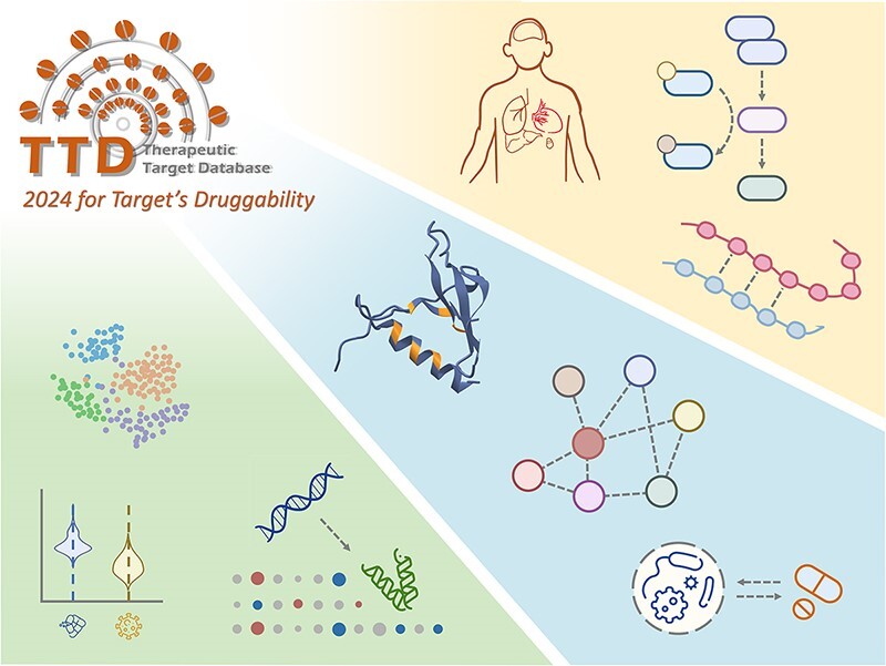 Graphical Abstract