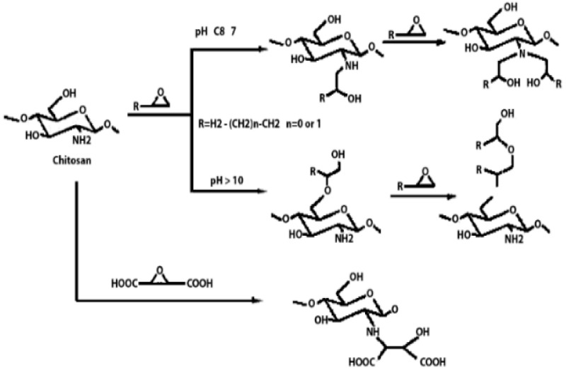 graphic file with name polymers-16-01351-i004.jpg