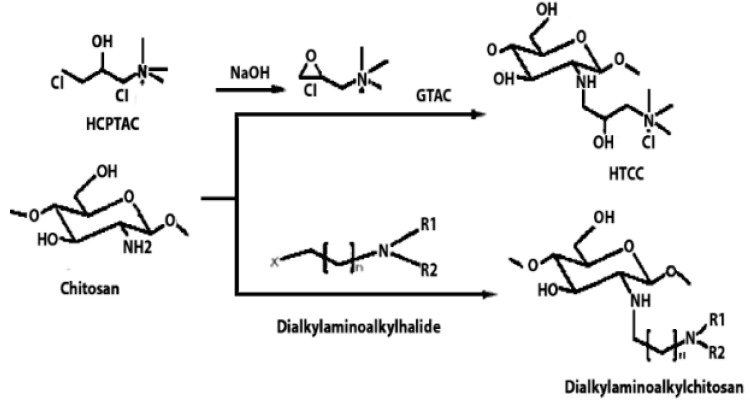 graphic file with name polymers-16-01351-i003.jpg