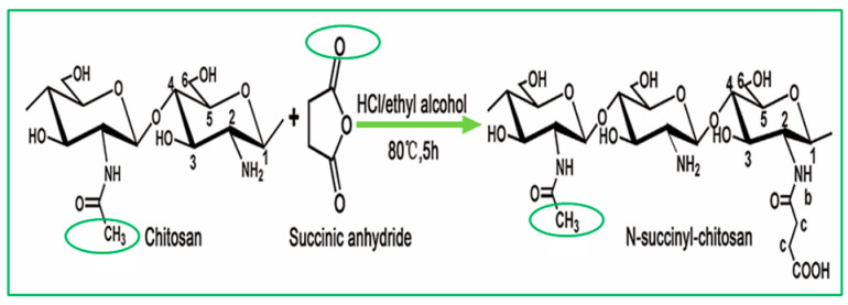 graphic file with name polymers-16-01351-i006.jpg