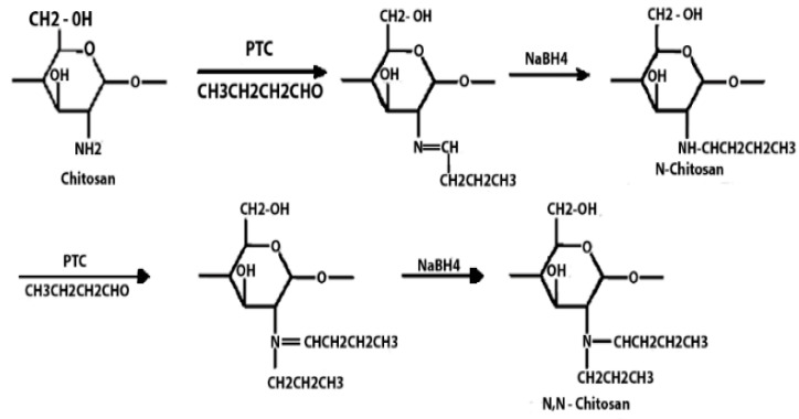 graphic file with name polymers-16-01351-i002.jpg