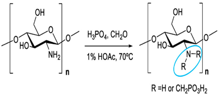 graphic file with name polymers-16-01351-i010.jpg