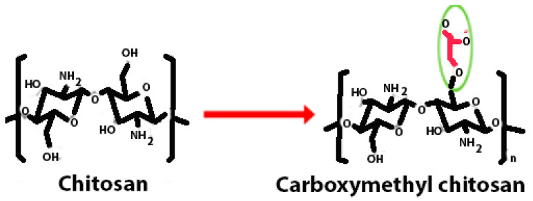 graphic file with name polymers-16-01351-i005.jpg