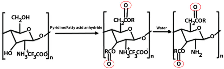 graphic file with name polymers-16-01351-i007.jpg