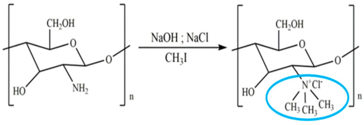 graphic file with name polymers-16-01351-i001.jpg