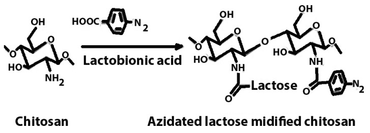 graphic file with name polymers-16-01351-i009.jpg