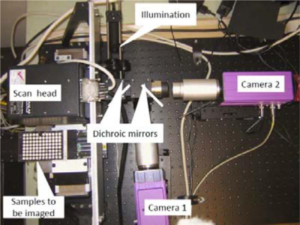 Figure 10