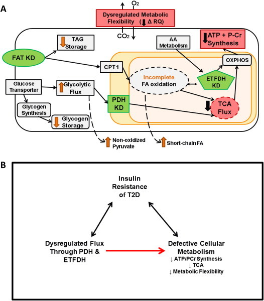 Figure 7