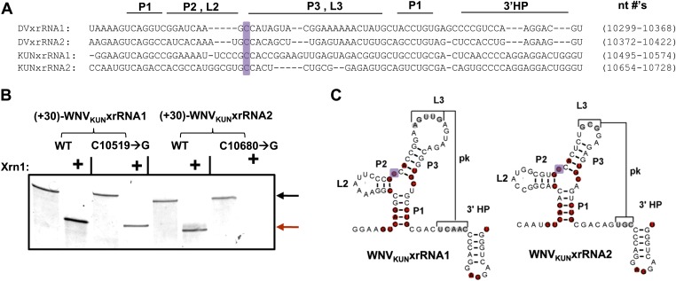 Figure 10.