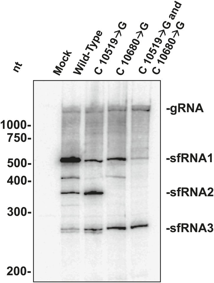 Figure 11.