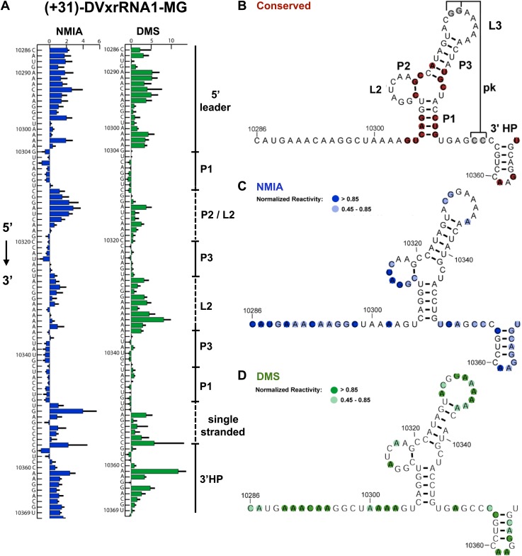 Figure 3.