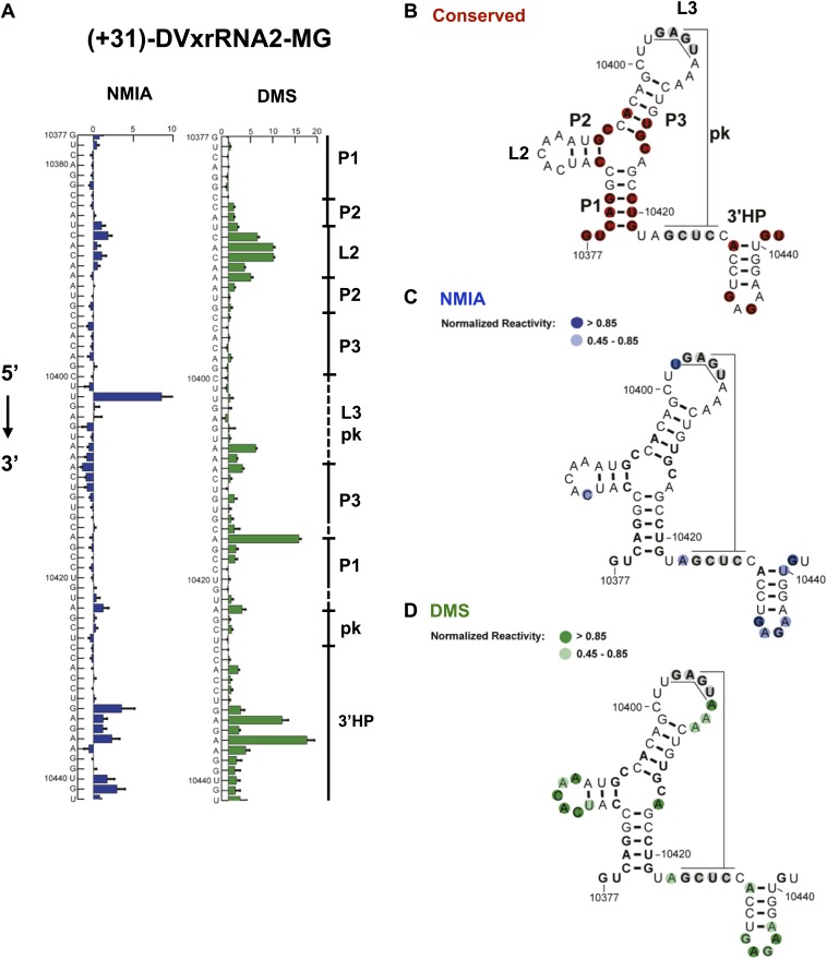 Figure 4.