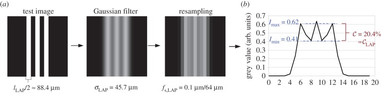 Figure 7.