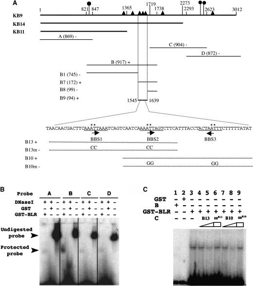 Figure 6.