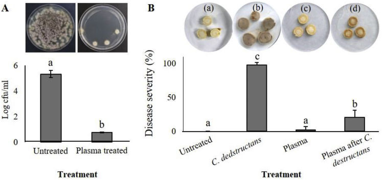 Fig. 4