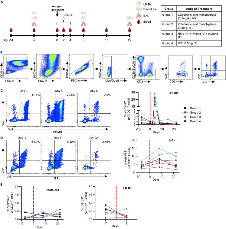 Figure 3