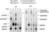 FIG. 8.